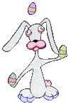 rabbit animated-images-gif